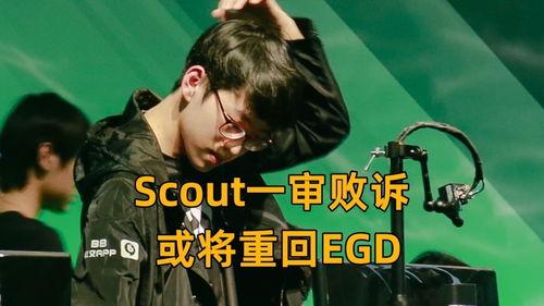 锤哥爆料杨荣荣视频播放,真相与争议  第2张